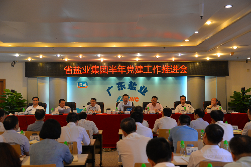 2019半年會黨建推進(jìn).JPG