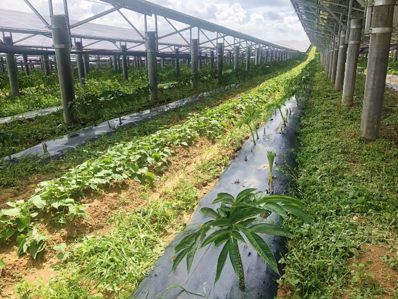 已編輯圖片