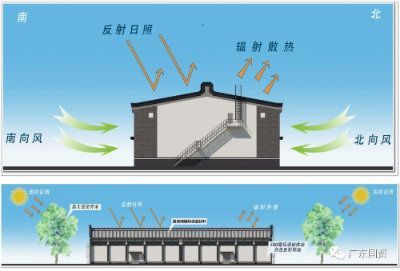 已編輯圖片