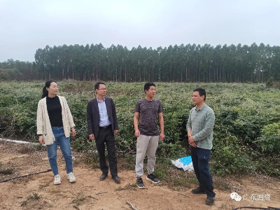 已編輯圖片