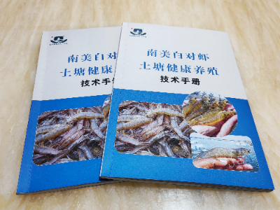 已編輯圖片