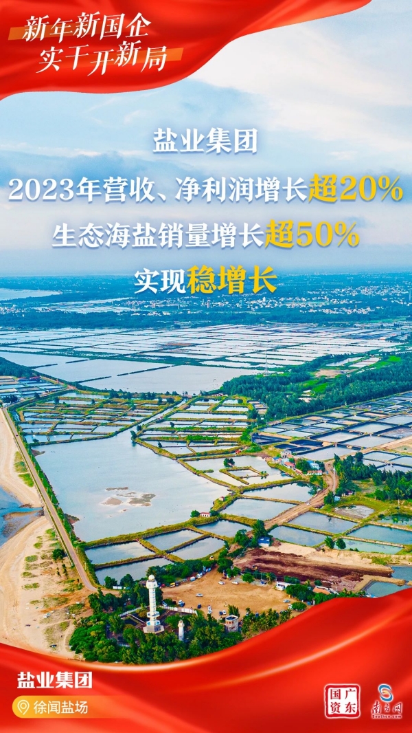 鹽業(yè)集團_600.jpg