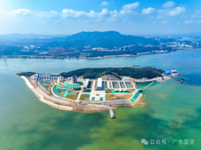 已編輯圖片