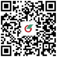 已編輯圖片