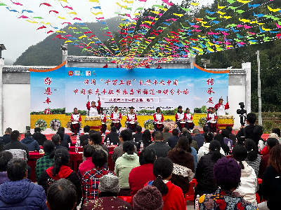 樂昌市梅遼四鎮中國農民豐收節活動現場.jpg